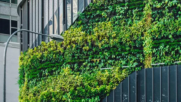 © Lily Banse, unsplash